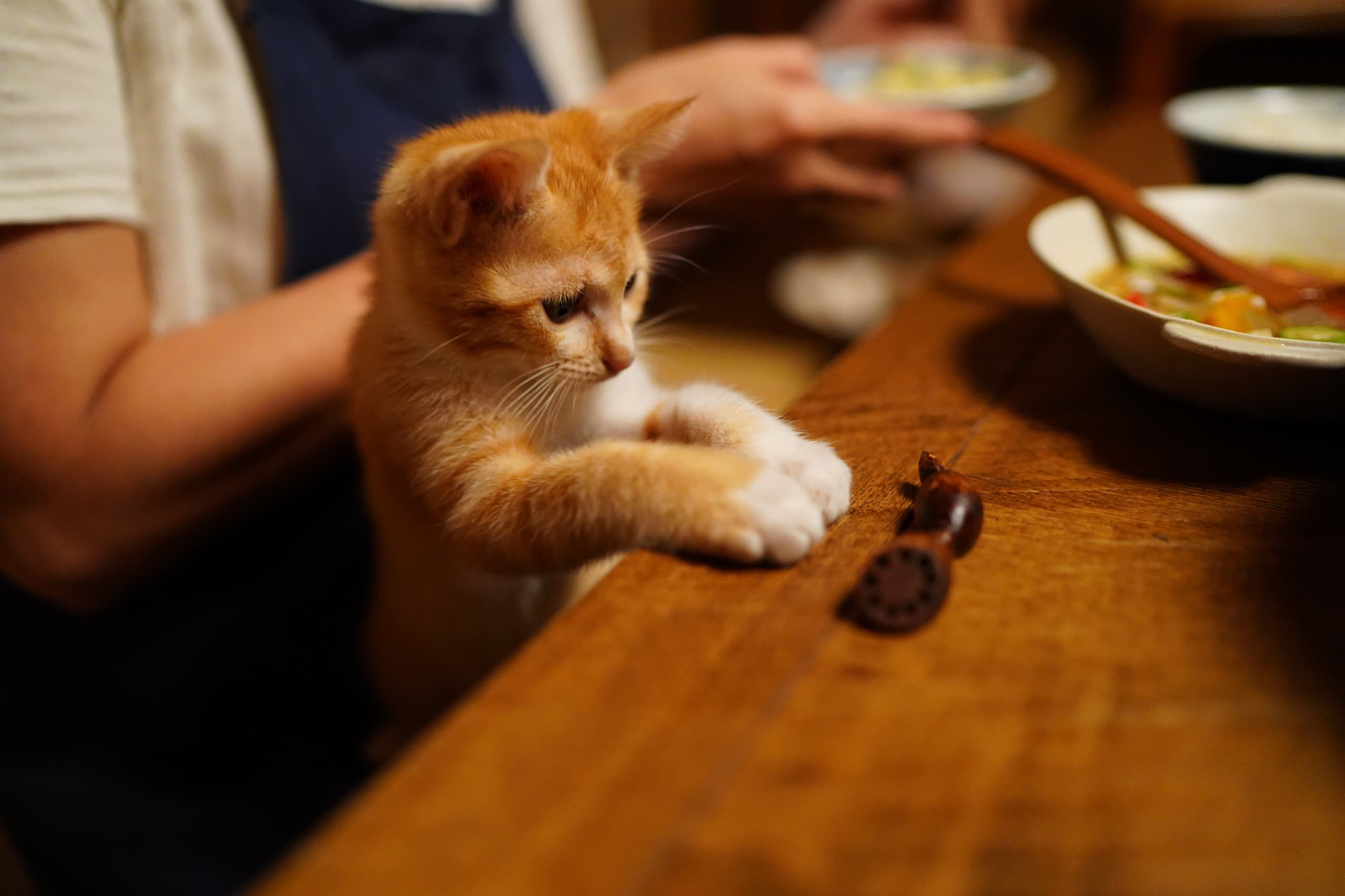 nuts-03282.jpg